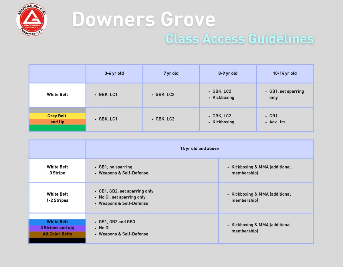 Class access guidelines chart for Downers Grove martial arts by age and belt level, with highlighted sections.