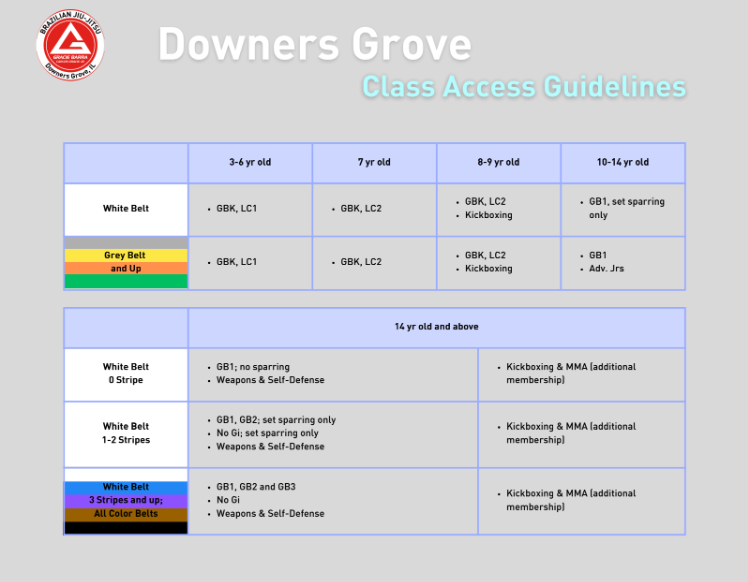 Gracie Barra Downers Grove jujitsu school schedule showing weekly classes and training times